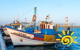 Carob By Algartur - 3 Mins Downtown - Terrace
